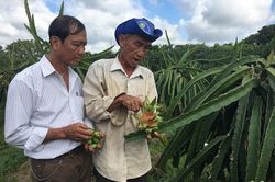Mời tham gia Hội thi ảnh đẹp với chủ đề 'Châu Thành ngày mới'