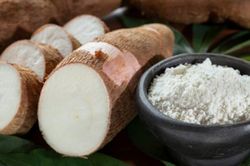Tinh bột sắn là mặt hàng sắn xuất khẩu lớn nhất sang Trung Quốc