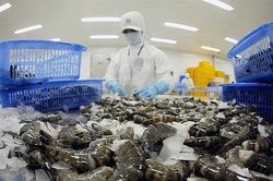 Nhiều dư địa cho xuất khẩu thủy sản