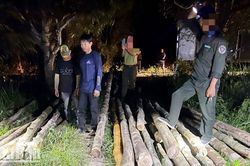 Kiên Giang: Tạm giữ 4 đối tượng khai thác gỗ nằm trong Sách đỏ