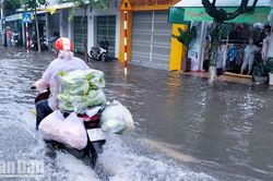 Kiên Giang: Mưa suốt đêm, thành phố Rạch Giá bị ngập nặng