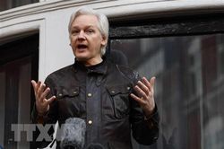 Australia: Vụ án của nhà sáng lập Wikileaks đã kéo dài quá lâu