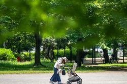Thành phố ở Nhật Bản xin lỗi vì khuyên 'bà bầu' nấu cơm, dọn nhà cho chồng
