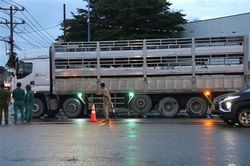 Bình Dương: Tai nạn giao thông giữa xe tải và xe máy khiến 2 người tử vong