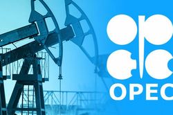 OPEC+ đang ở tình thế nguy hiểm