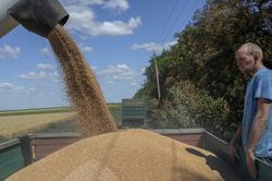 Rút khỏi thỏa thuận ngũ cốc với Ukraine, các công ty Nga sẽ 'hốt bạc' nhiều hơn