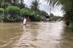 Mưa to kéo dài, tỉnh lộ 955B ở An Giang chìm trong 'biển nước'