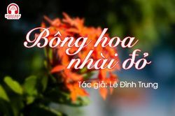 Đọc truyện đêm khuya: Bông hoa nhài đỏ