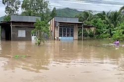 413 ha lúa, hoa màu ở An Giang bị ngập úng do mưa lớn