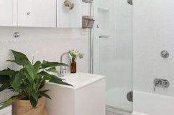 6 loại cây đặt trong phòng tắm giúp thanh lọc không khí, khử mùi hôi hiệu quả