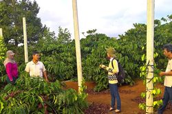 Mở rộng liên kết để thúc đẩy phát triển kinh tế tập thể