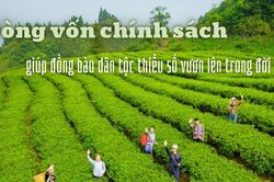 Dòng vốn chính sách giúp đồng bào dân tộc thiểu số vươn lên trong đời sống