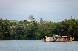 Một 'điệu buồn' của ca Huế