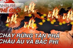 Cháy rừng tàn phá Châu Âu và Bắc Phi | Nhìn ra thế giới | 30/07/2023
