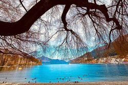 Có một cuộc sống ngọt ngào ở Queenstown