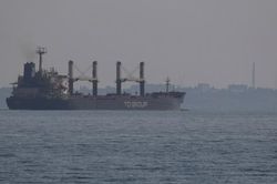 Loay hoay về xuất khẩu ngũ cốc sau khi Nga rời đi, Ukraine yêu cầu một điều khiến EC 'vò đầu bứt tai'