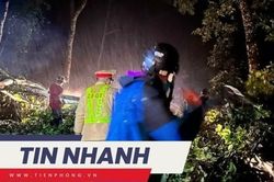 TIN NHANH: Chiến sỹ CSGT kể phút giây thoát chết ở đèo Bảo Lộc; Hoảng hồn máy bay lao xuống bãi tắm