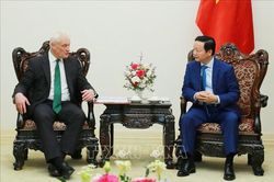 Việt Nam mong muốn Anh chia sẻ kinh nghiệm phát triển năng lượng tái tạo