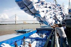 Bộ Công Thương khuyến cáo rủi ro với doanh nghiệp nhập khẩu cám gạo trích ly từ Ấn Độ