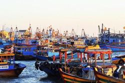Bình Thuận: Hiệu quả từ mô hình 'Chi hội phụ nữ bảo vệ môi trường'