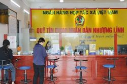 Thông tư 21 'siết' hạn mức tiền gửi gây bất lợi kép cho cả khách hàng và Quỹ TDND