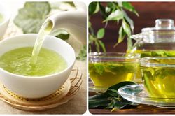 Uống chè xanh thay nước có tốt không?