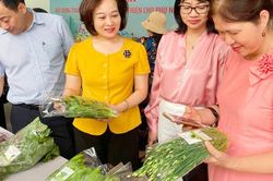 Hơn 40% doanh nghiệp sản xuất, kinh doanh nông sản do nữ làm chủ