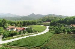 Đẩy mạnh thực hiện Chương trình mục tiêu quốc gia