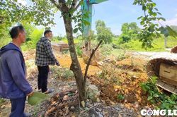 Người dân hiến đất gỡ 'tắc' dự án cầu đường tiền tỷ