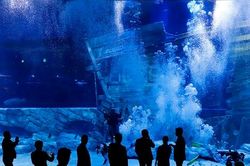 Người dân xếp hàng đợi mua vé khám phá thủy cung với diện tích hơn 9 nghìn mét vuông ở Hà Nội