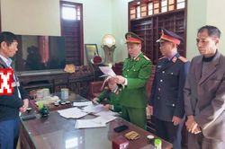 Phát hiện gần 800 vụ vi phạm liên quan lĩnh vực bảo vệ môi trường