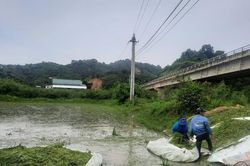 Mưa lớn nhấn chìm hàng ngàn hecta cây trồng ở Đắk Lắk, Đắk Nông