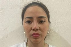 Nữ giám đốc điều hành đường dây trộm cắp tại Công ty Nhiệt điện B.O.T Hải Dương