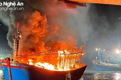 Mua bảo hiểm tàu cá, ngư dân tự sắm 'phao' cho mình