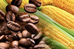 Thị trường hàng hóa hôm nay ngày 1/8/2023: Giá dầu WTI tiếp tục tăng lên 81,8 USD/thùng; Cà phê Arabica tăng vọt