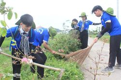 Lan tỏa ý nghĩa mùa hè xanh