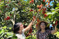 Khách du lịch đến Đồng Nai tăng gần 37%
