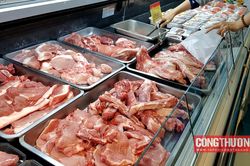 Giá heo hơi hôm nay 01/8: Khu vực đồng bằng sông Cửu Long ghi nhận mức thấp nhất cả nước