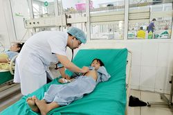 11 trẻ ở Hà Giang bị ngộ độc quả dại, 1 bé tử vong