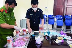 Hà Nội: Đề nghị xét xử các vụ án điểm vận chuyển trái phép ma túy, hàng cấm qua đường hàng không