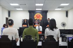 Bác đơn doanh nghiệp kiện Sở Văn hóa và Thể thao Hà Nội