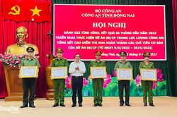 Tiếp tục thực hiện có hiệu quả 43 mô hình điểm về Đề án 06/CP