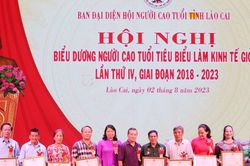 Biểu dương người cao tuổi làm kinh tế giỏi giai đoạn 2018 - 2023