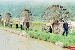 Ngọc Chiến - miền quê bình yên