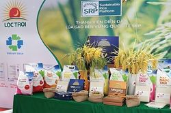 Lộc Trời lội ngược dòng báo lãi tăng vọt quý 2 lên 424,6 tỷ đồng