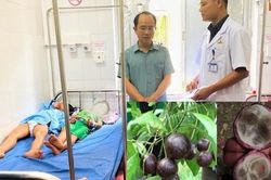 Diễn biến mới vụ 11 cháu nhỏ nhập viện do ăn quả rừng
