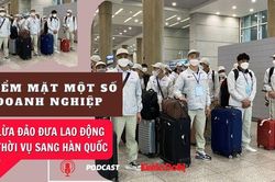 Điểm mặt một số doanh nghiệp lừa đảo đưa lao động thời vụ sang Hàn Quốc