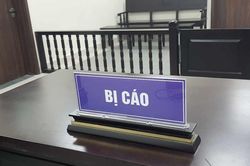 Lĩnh án vì mang súng của khách về nhà cất giấu