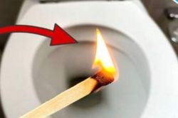 Thả que diêm xuống bồn cầu có tác dụng gì?