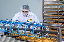 KIDO tung ra thị trường 450 tấn bánh trung thu, tăng 50% so với năm ngoái